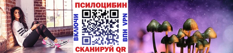 Купить закладки  Суровикино  Галлюциногенные грибы Cubensis 